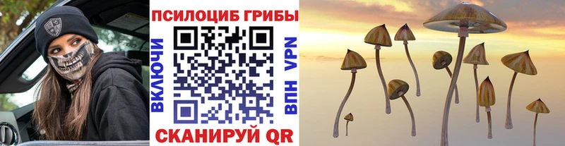 Псилоцибиновые грибы мицелий  Купить где  Торжок 